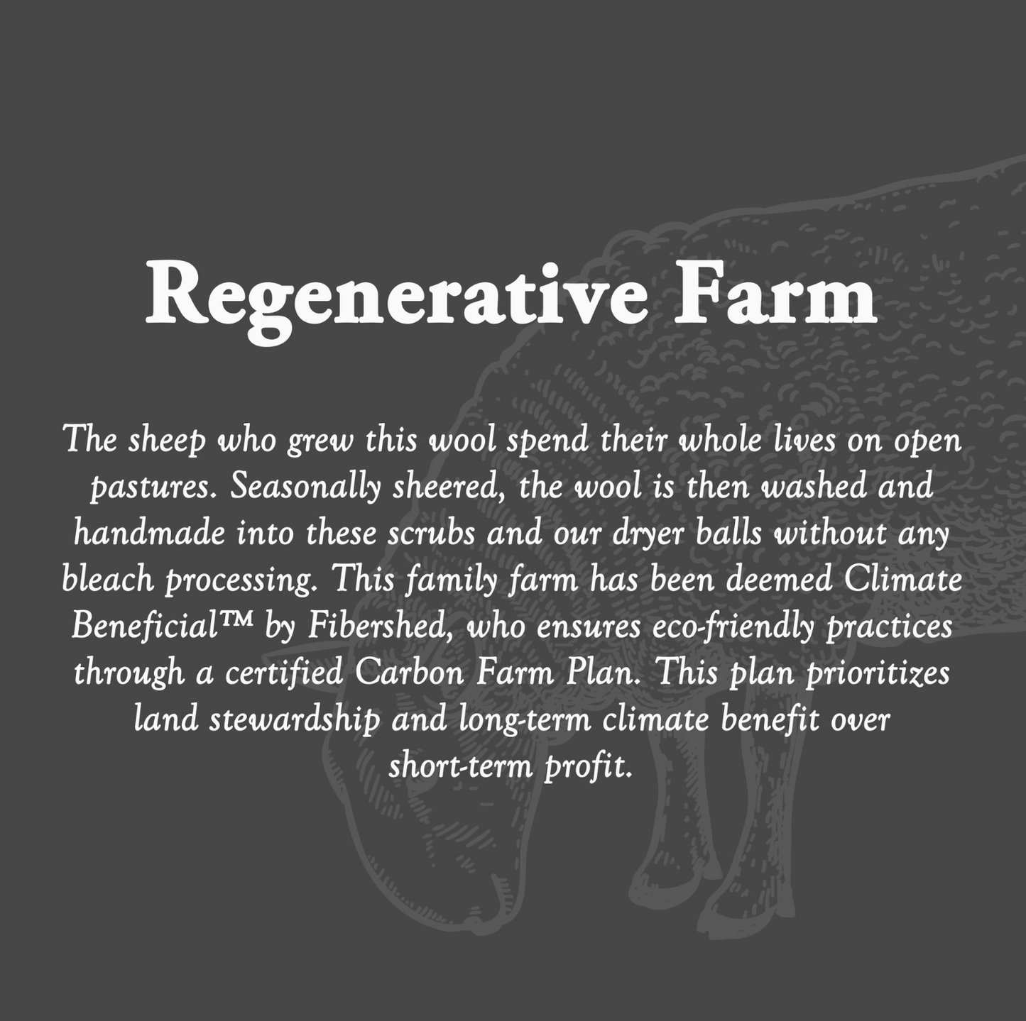 Rustic Strength Wool Scrub