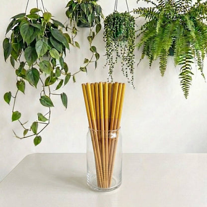 Bamboo Chopsticks - Set of 2 | Earth Day Bestseller: White