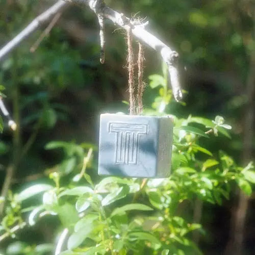 Terra-Tory Aloe Detox Soap