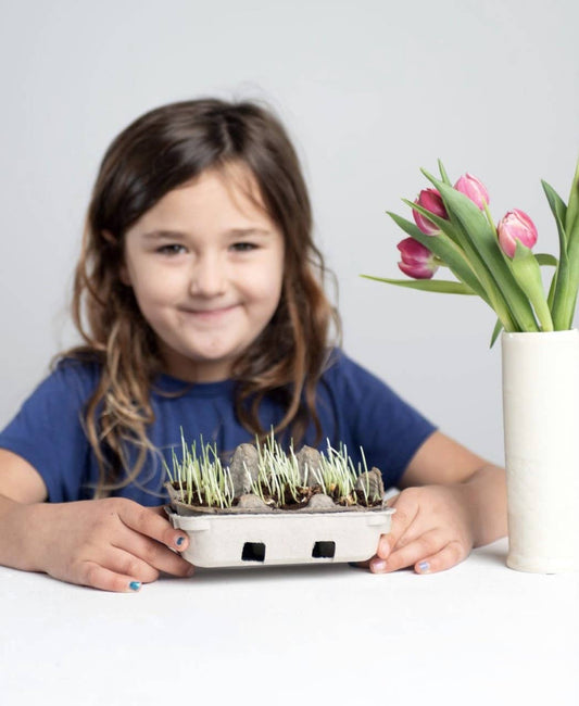 Egg Coloring & Seed Growing Kit - DIY Easter/Spring Craft