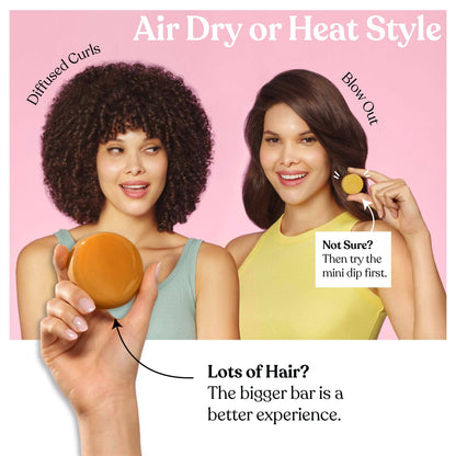 Mini Dip Sun Shield: Conditioner Bar & After Swim Detangler Fragrance Free: 0.75 oz