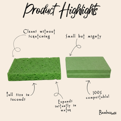 Compostable Cellulose Kitchen Sponge | Earth Day Bestseller: Blue