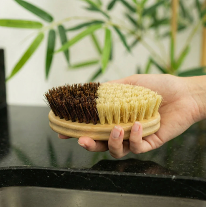 Bamboo Cleaning Brush | Vegetable & Kitchen Bestseller: Coconut & Sisal Bristle