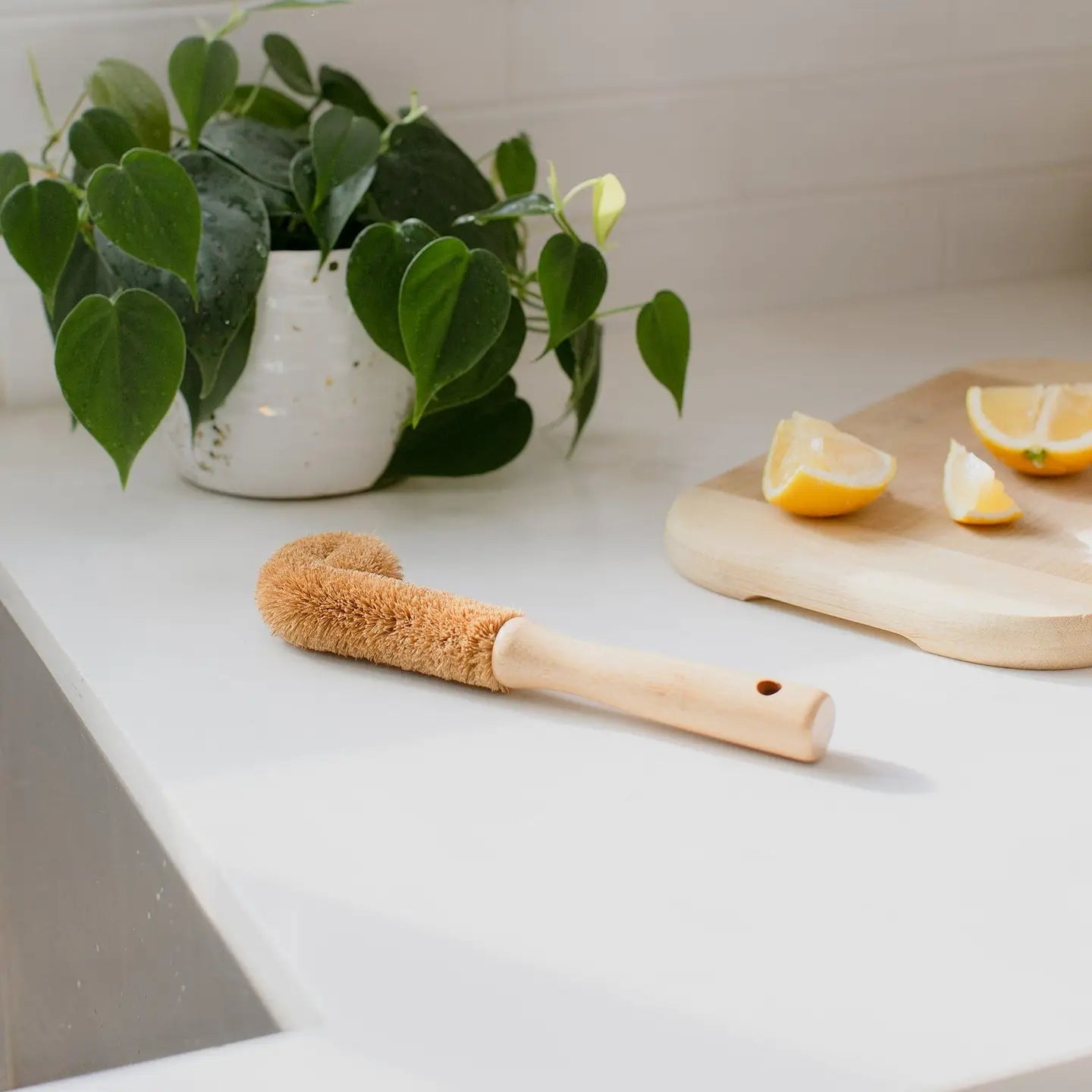 Coconut Bottle Brush